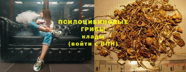 трава Балахна